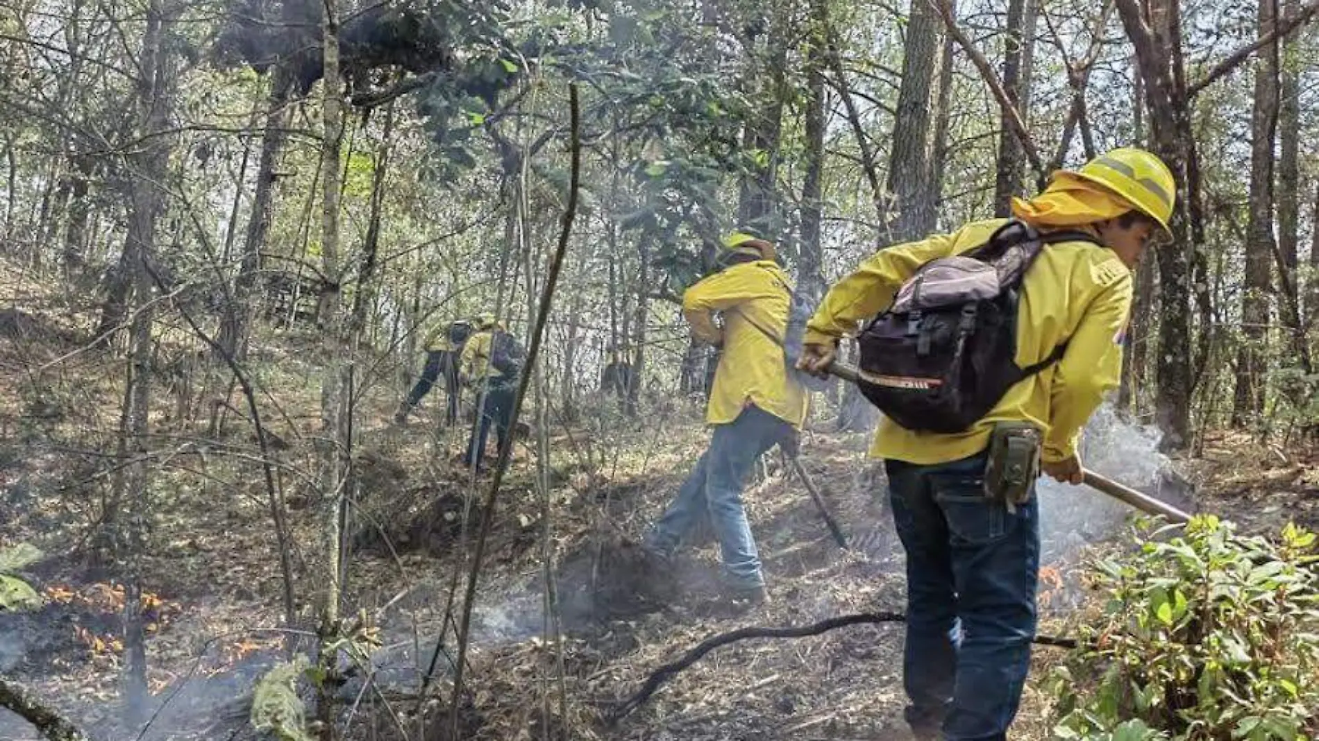 incendios forestales